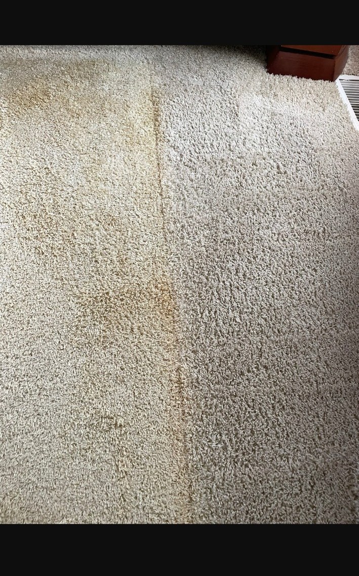Carpet half cleaned to show contrast